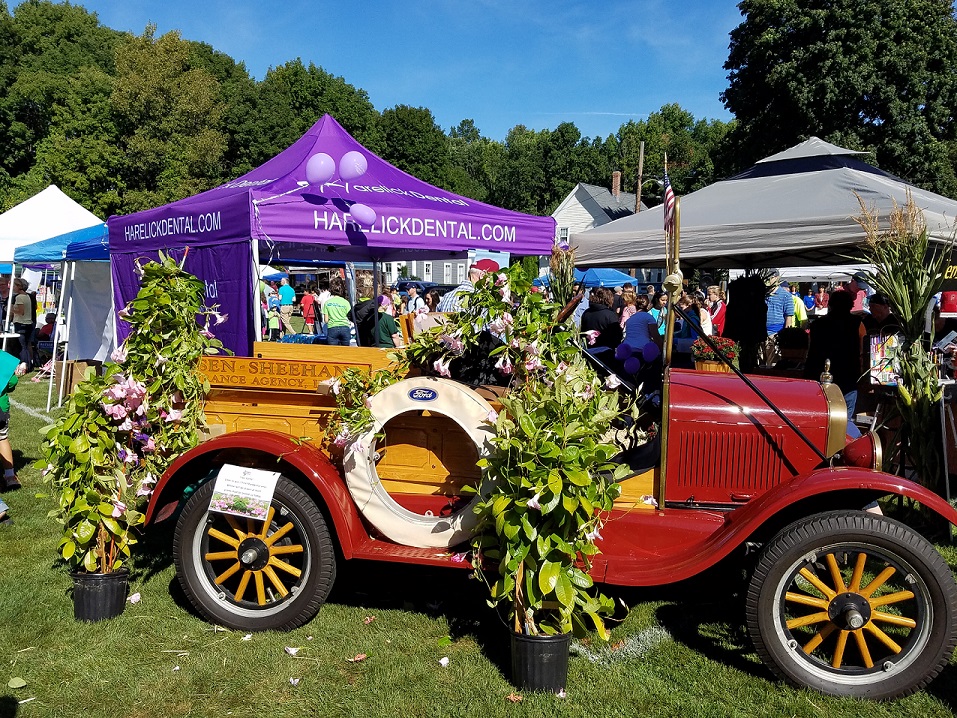 Antique cars with plants and flowers